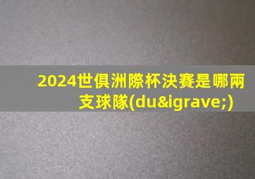 2024世俱洲際杯決賽是哪兩支球隊(duì)