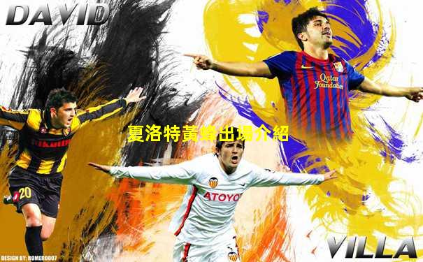 夏洛特黃蜂出場介紹
