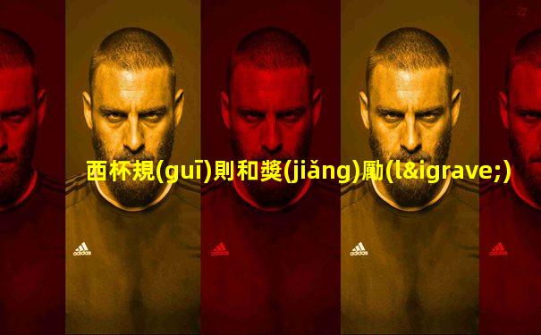 西杯規(guī)則和獎(jiǎng)勵(lì)