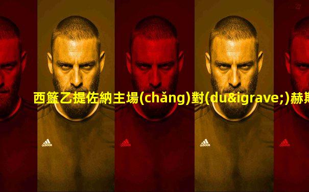 西籃乙提佐納主場(chǎng)對(duì)赫斯蒂亞梅